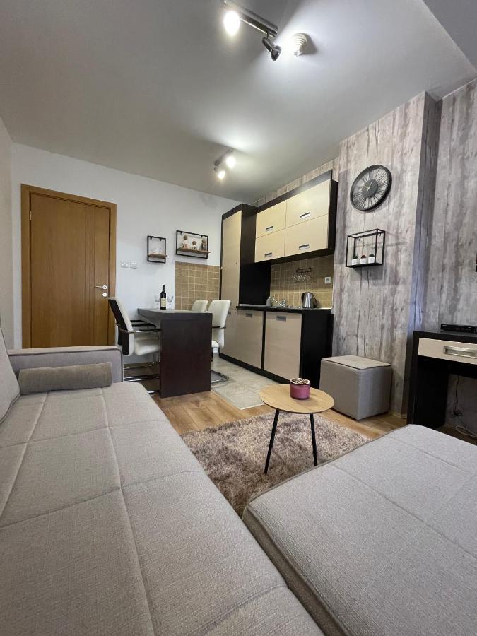 New!!! 4 Stars Apartment!!! Копаоник Экстерьер фото
